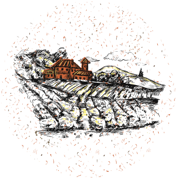 Image of winery in a vineyard